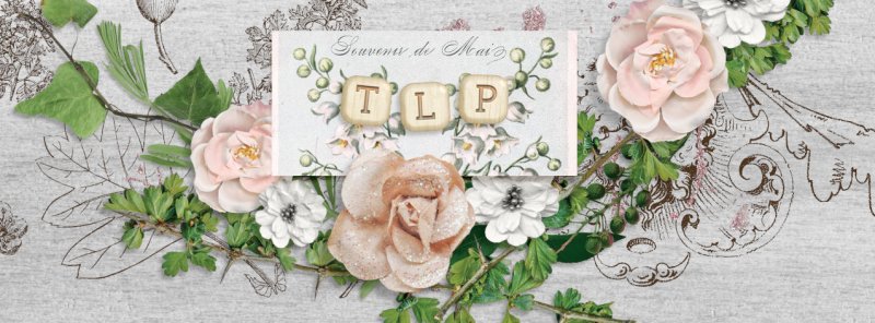 FBcover28April