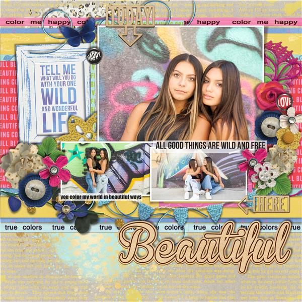 FDD Aug Template Challenge