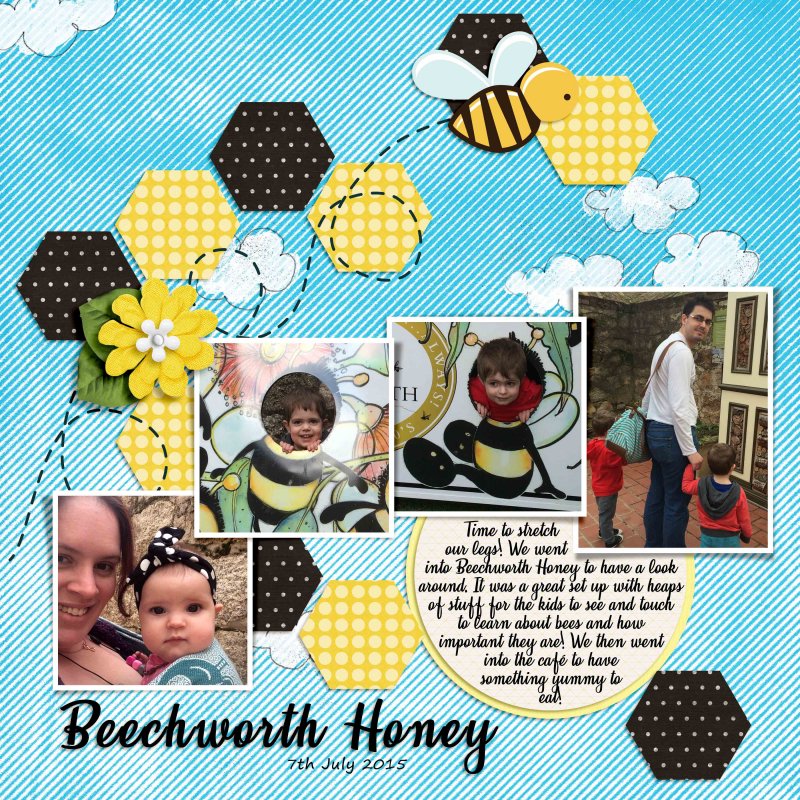 FDD Challenge Feb 19 - Beechworth Honey Bee