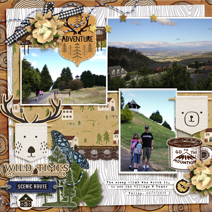 FDD Jan Designer Chall - mountain view