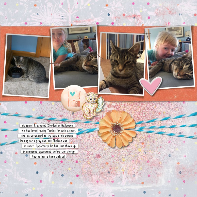 FDD Sept Challenge