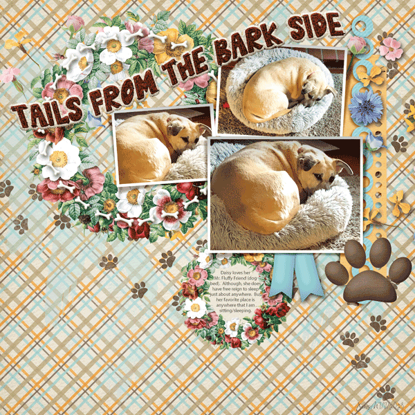 Fdd2_tailsfromthebarkside
