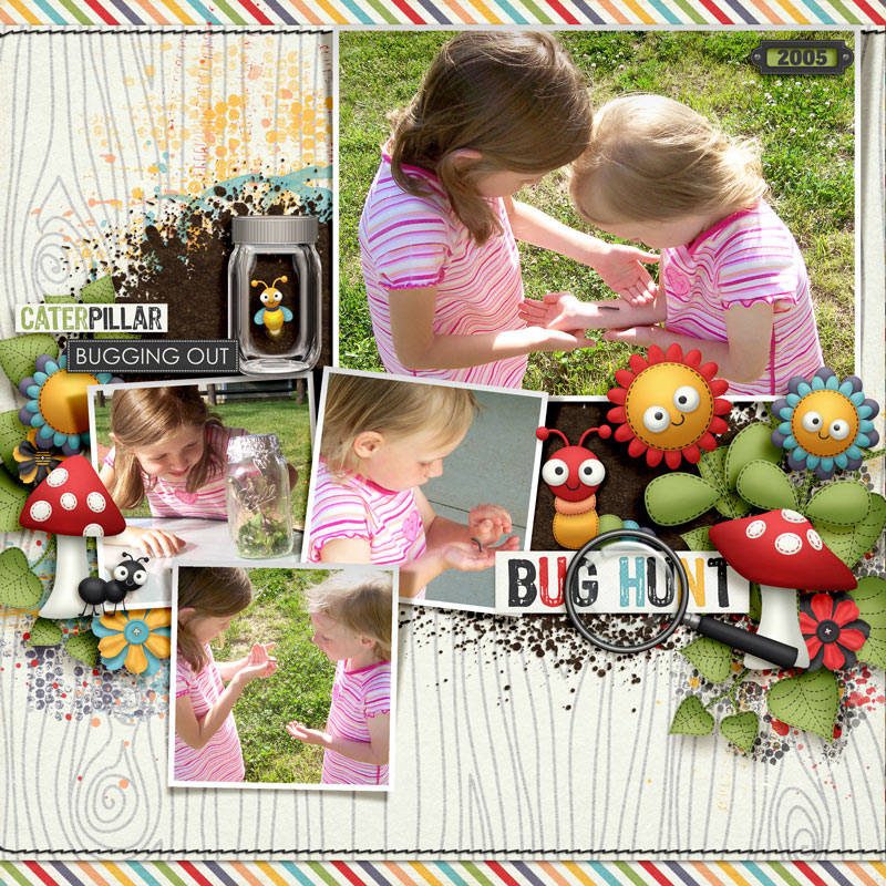 FDD_CoverMeInSunshineDU_2005web