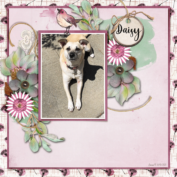 Fdd_daisy