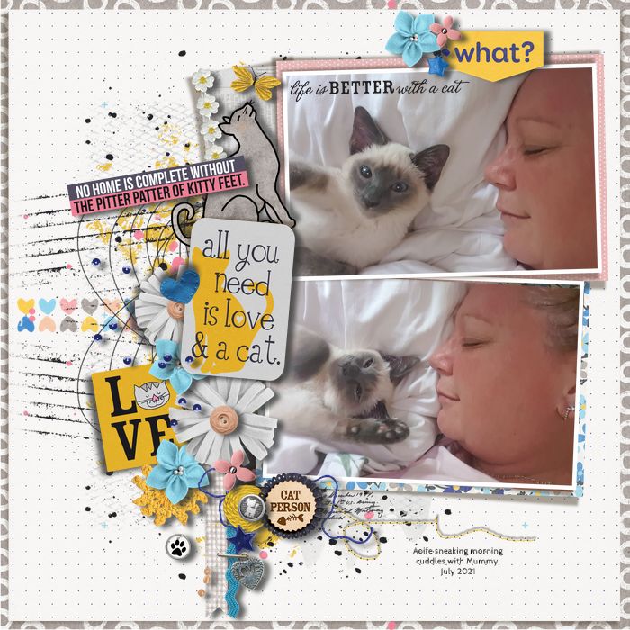 Fdd_FF_16jul21_Kate