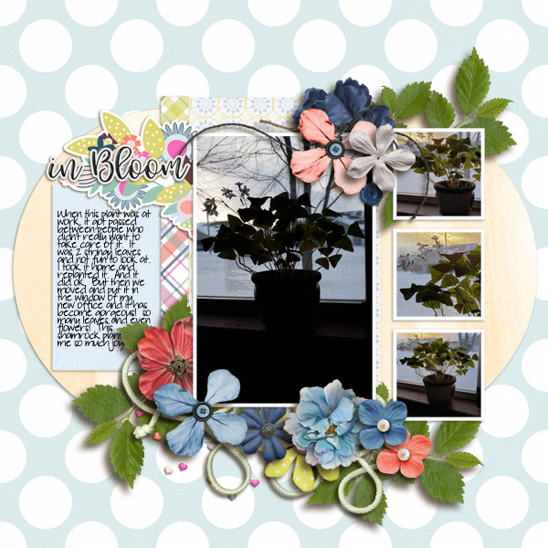 Fdd_ffPlayItAgain21-tlp-bloomandgrow