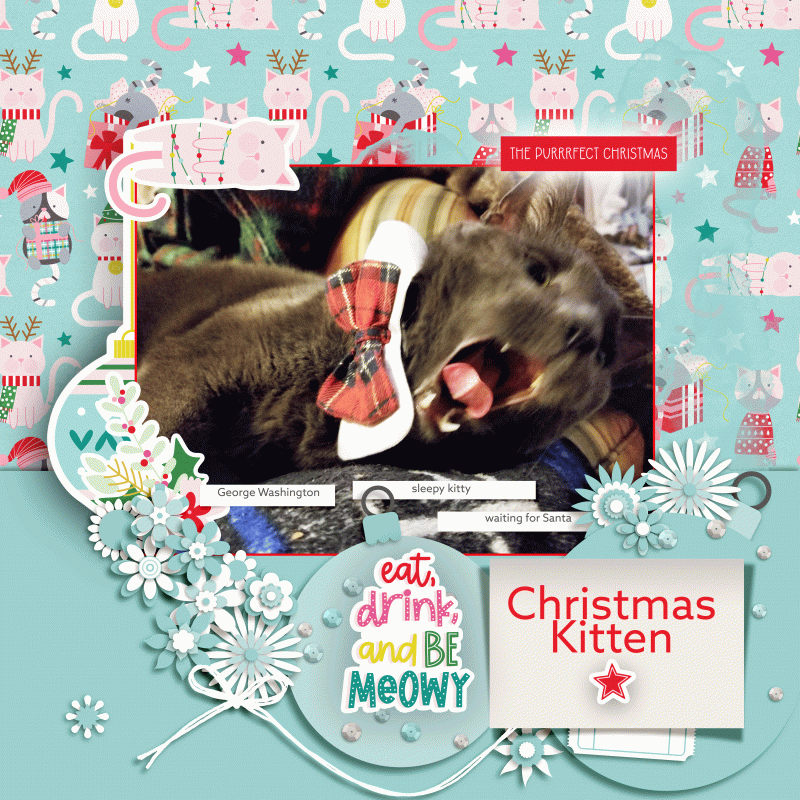 Fdd_FiddlesticksNumber102-George-meowy-Christmas