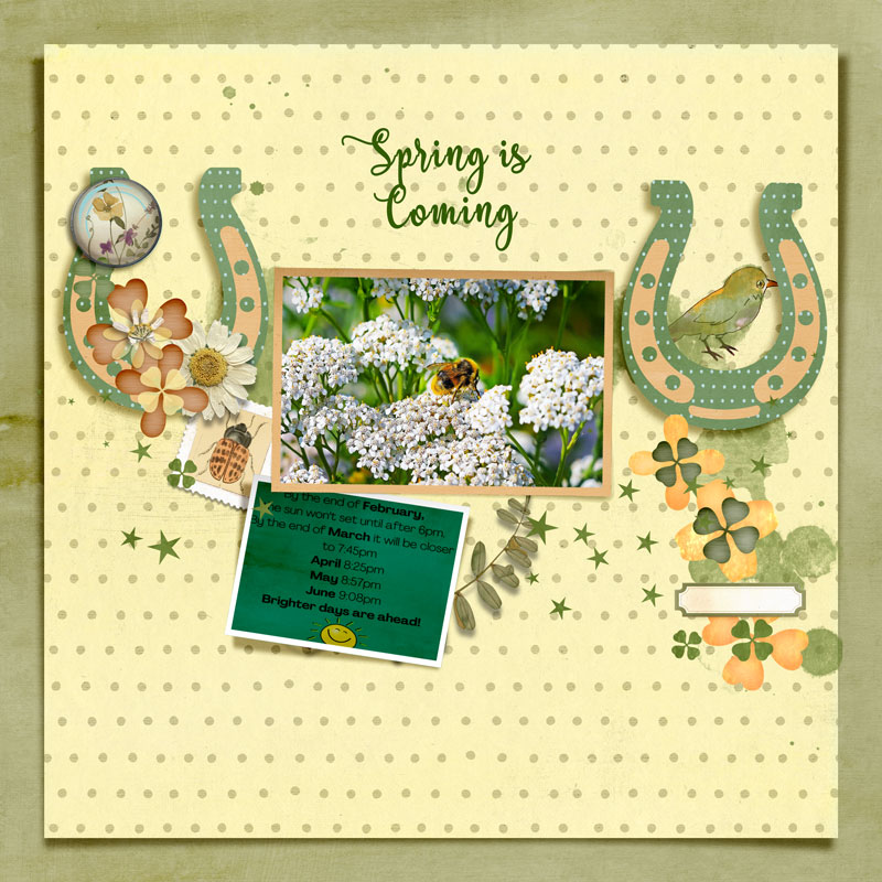 Fdd_FiddlesticksNumber92-spring