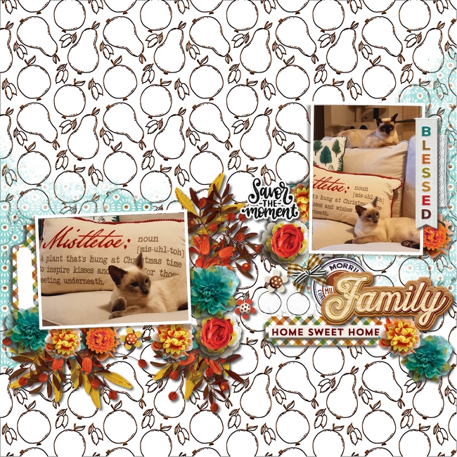 Fdd_fj_26oct21_Kate