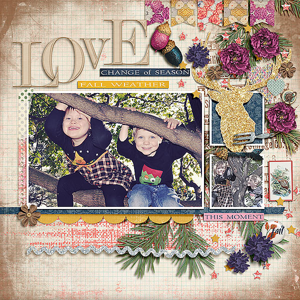 Fdd_GratitudeGrows2_DU_tp4