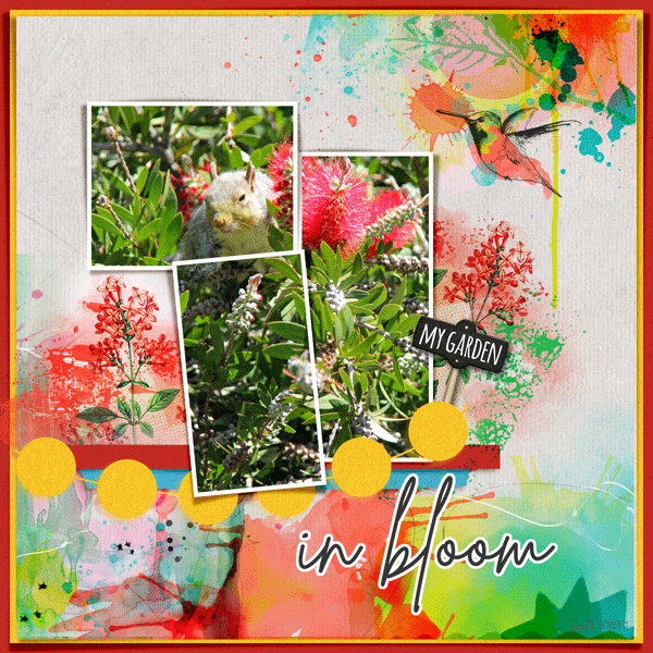 Fdd_inbloom