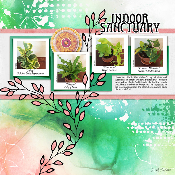 Fdd_indoor Sanctuary