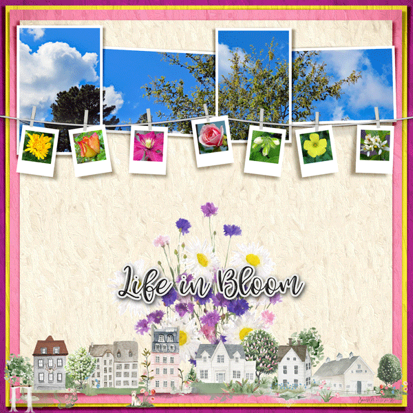 Fdd_lifeinbloom