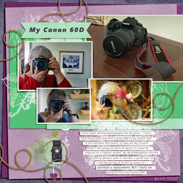 Fdd_mycanon60D