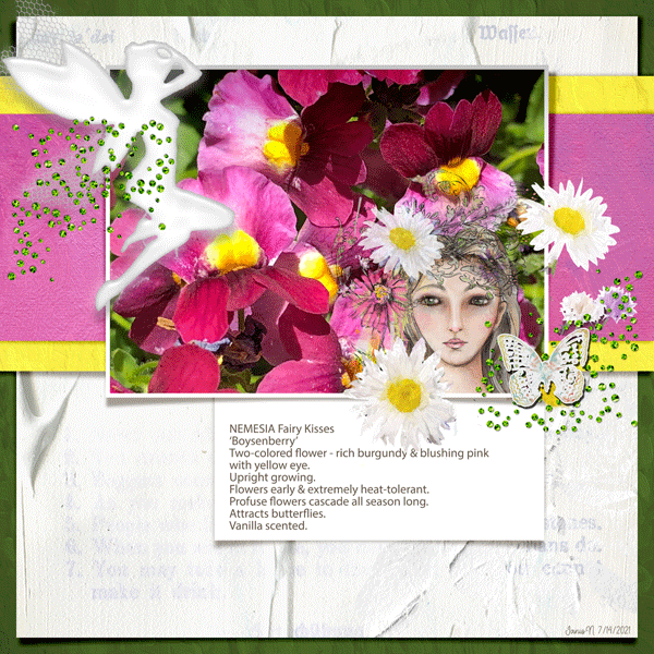 Fdd_nemesia