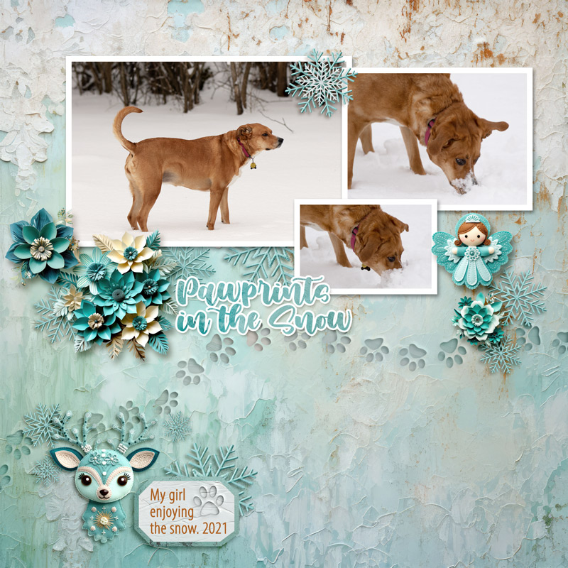 FDD_OhDeerDU_2021web