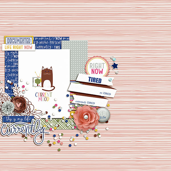 Fdd_PicturePerfect_DD_tp2