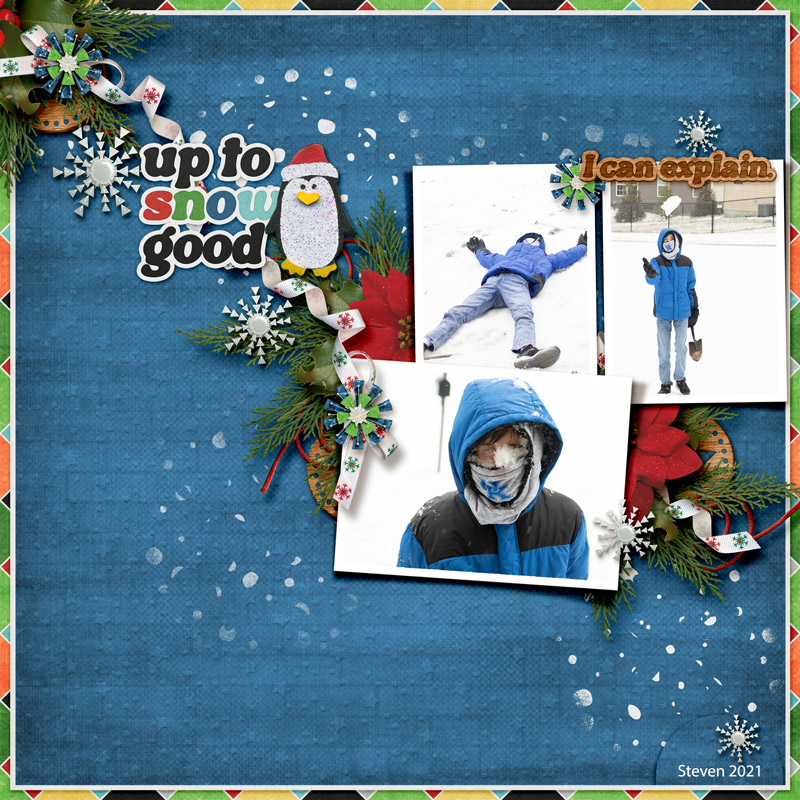 FDD_WinterWishes2DU_2021web