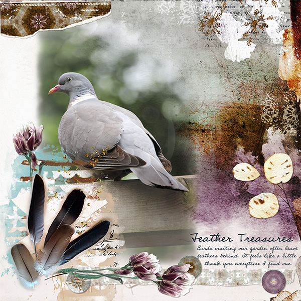 Feather Treasures