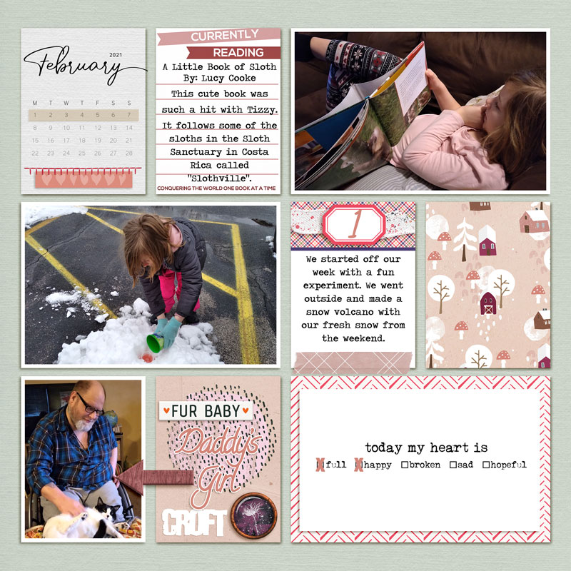 Feb 1 - 7 - Project Pages