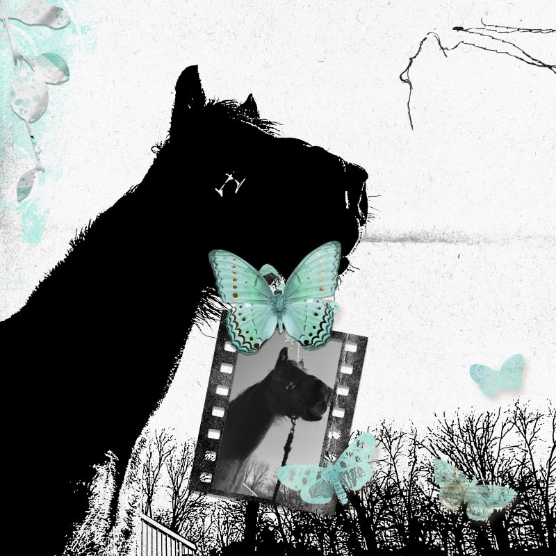 Feb 20 Scraplift