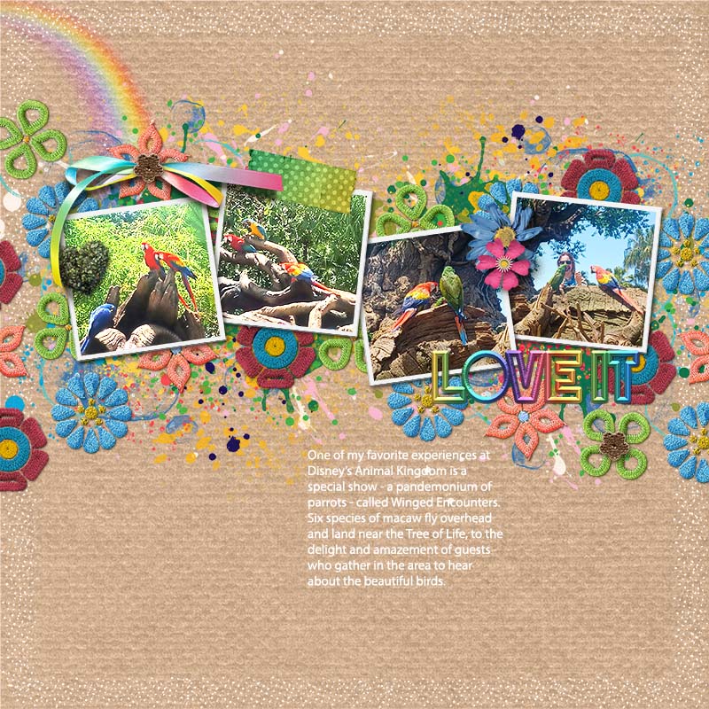 Feb 2024 Muse 2 - Rainbow
