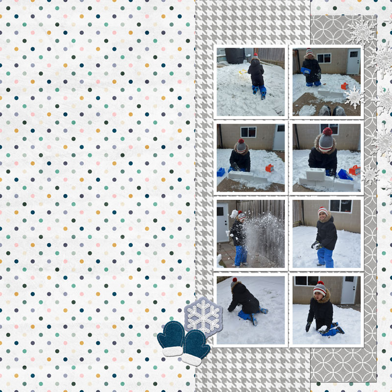 Feb-2025-TLP-Monthly-Scraplift