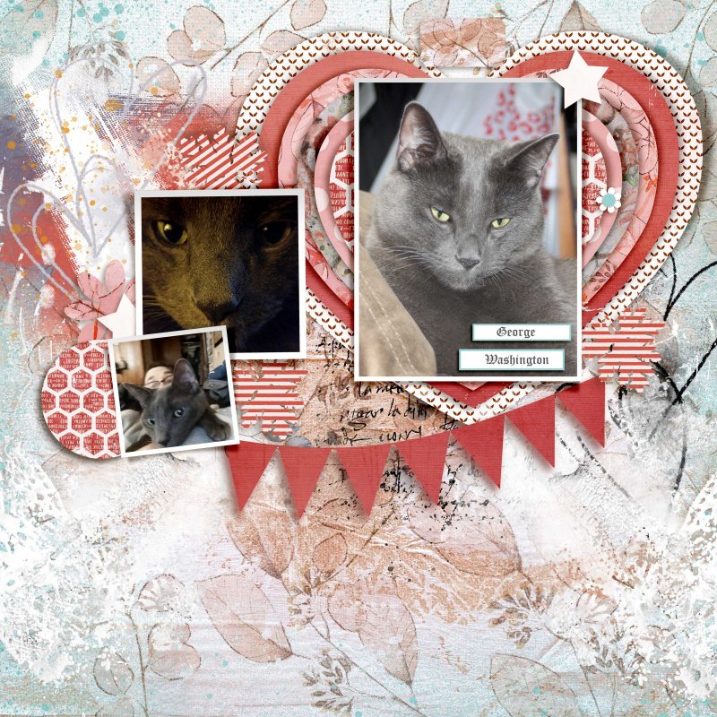 Feb-22-Template-challenge-George-Washington-take-2