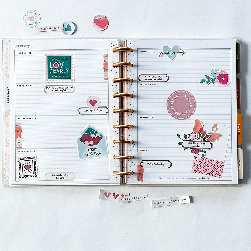 Feb HP (hybrid)