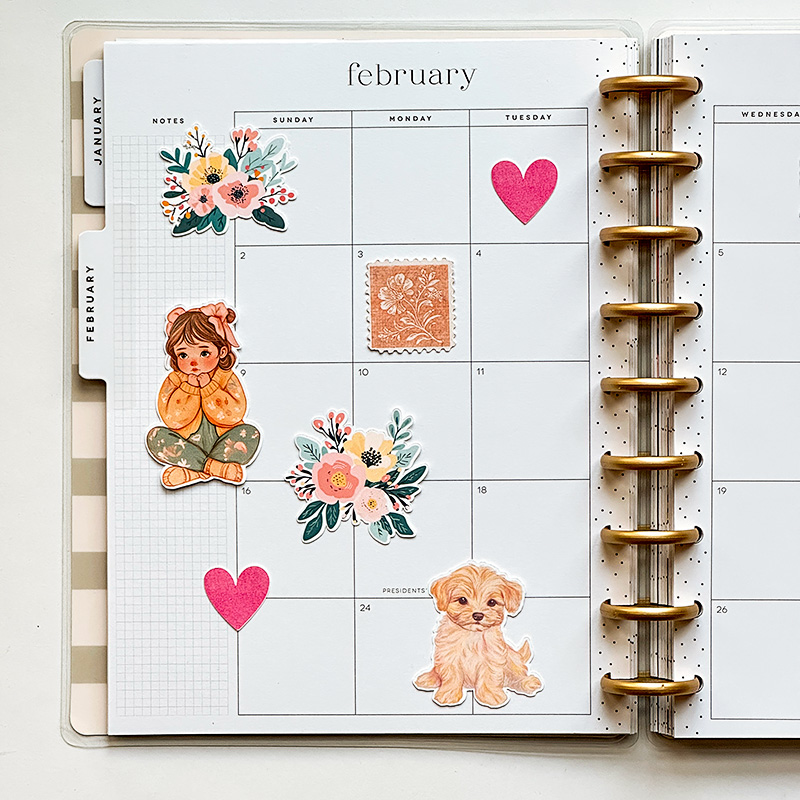 Feb left (hybrid)