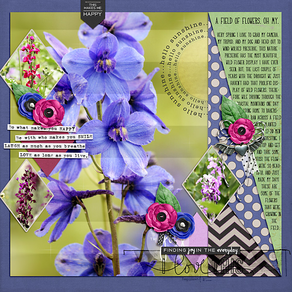Feb2016JournalChall-600