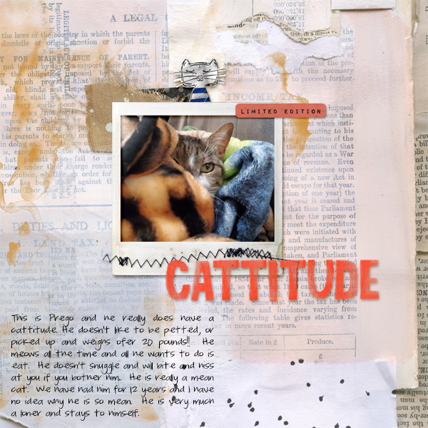 Feb2020scraplift