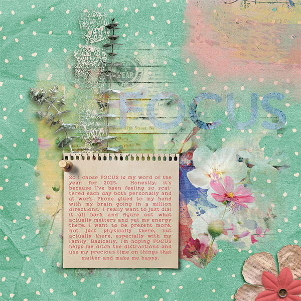 Feb25JournalFocus