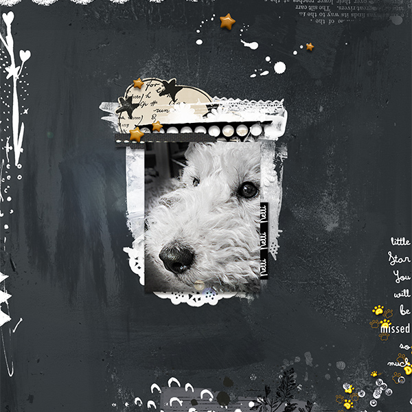 Feb_2020_Random_little-Star