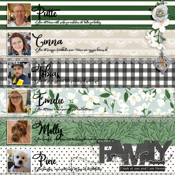 February-20 Journaling challenge