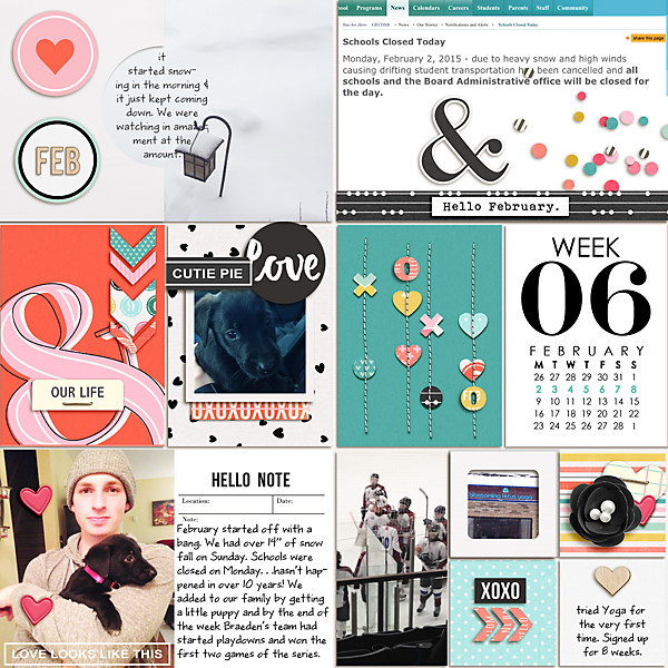 February 2015 week 6