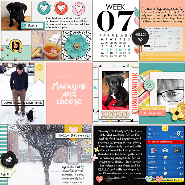 February 2015 week 7
