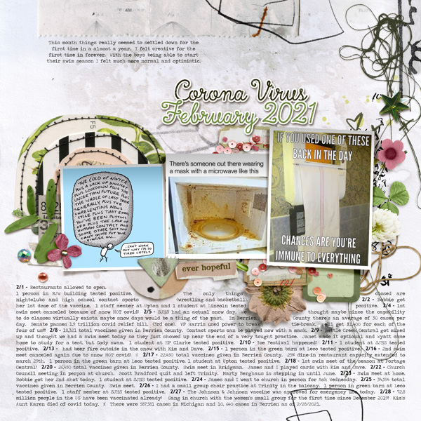 February 2021 Covid Stuff