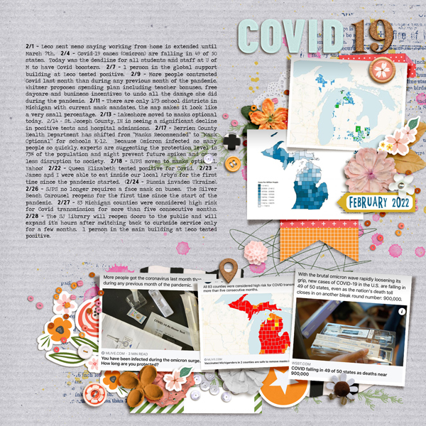 February 2022 Covid Stuff