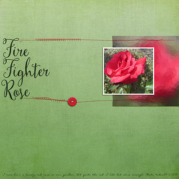 February Inspiration Challenge - Fire Fighter Rose