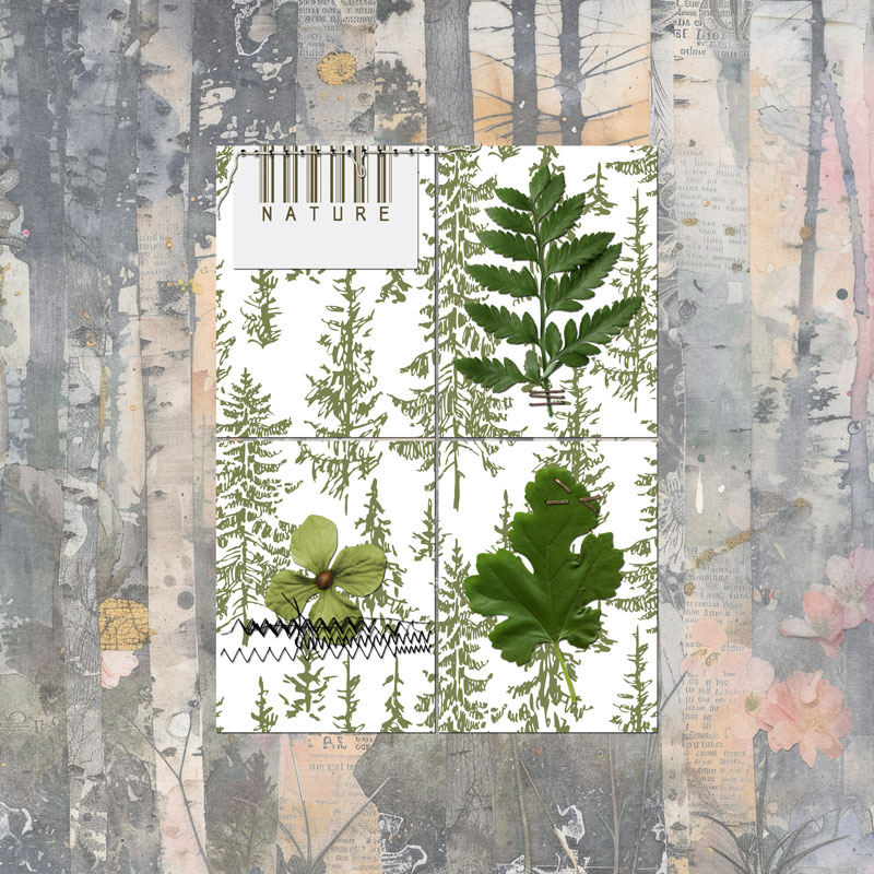 February + March 2025 Muse Challenge 2