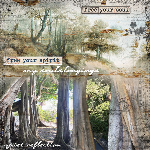 February Monthly Muse Week 3 Trees