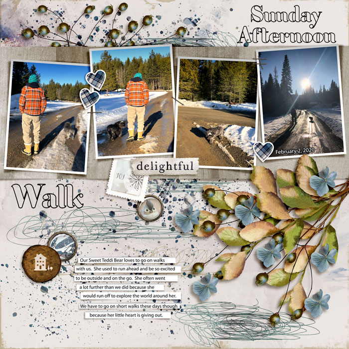 FEBRUARY PHOTOGRAPHY CHALLENGE