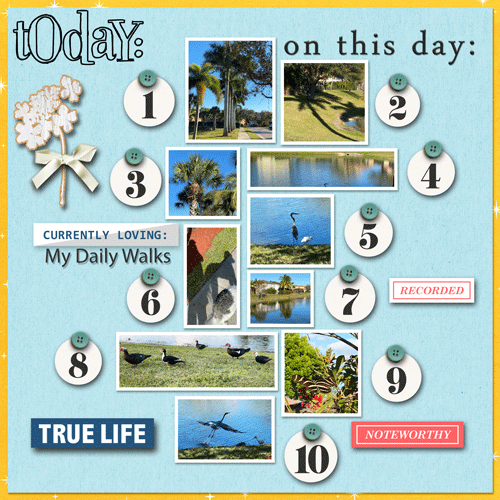 February Sahlin Studio Challenge
