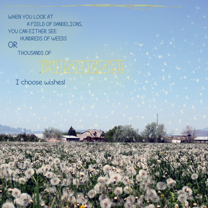 February Scraplift Challenge - DANDELION WISHES