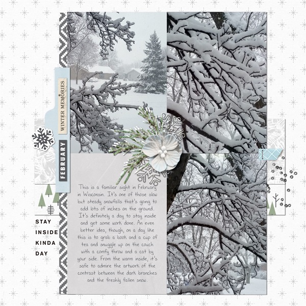 February Winter Memories