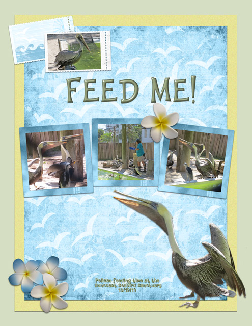 Feed-Me!