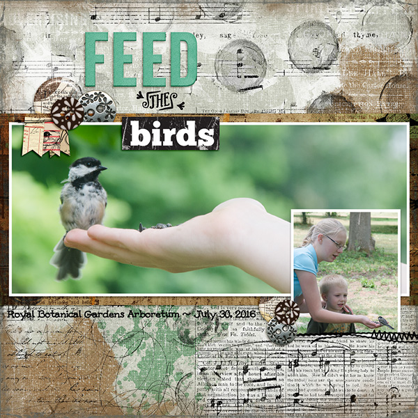 Feed The Birds