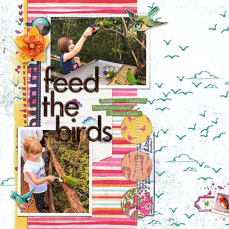 Feed the Birds