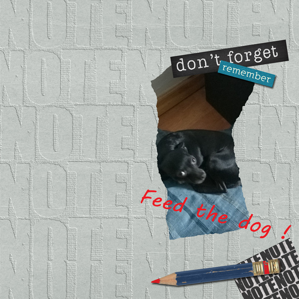 Feed-the-dog-PRD